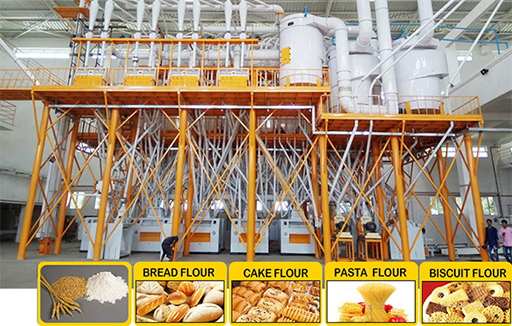 Steel Structure Wheat Flour Milling Plant