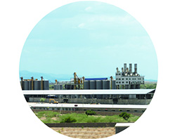 La fresadora de harina de trigo de 400 T pasó la prueba en la empresa Shenzhou Lvyuan Flour Co., Ltd. Se invirtió en la construcción de la empresa Ethiopia Pioneer Cement Manufacturing PLC que inició operaciones comerciales el 18 de julio del mismo año.