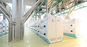 China 1400TPD Wheat Milling Plant