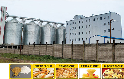 How to Adjust the Fineness of Flour Milling Machinery?