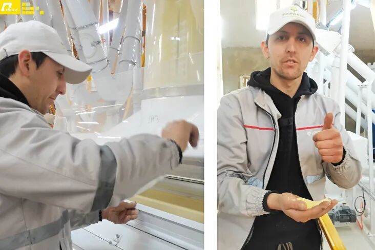 Soluciones personalizadas que impulsan el éxito del cliente