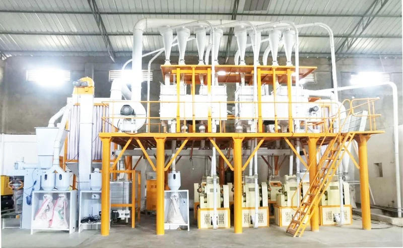 Estructura compacta