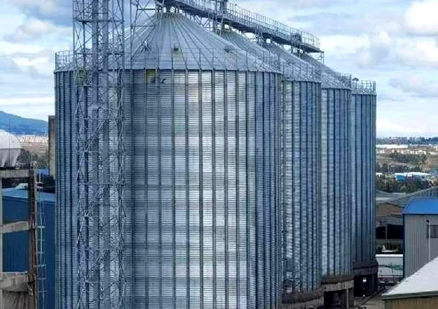 Silo de almacenamiento